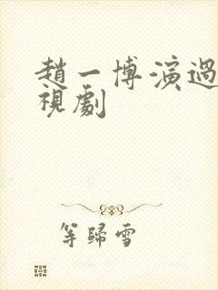 赵一博演过的电视剧