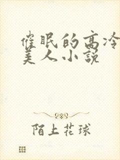 催眠的高冷双性美人小说