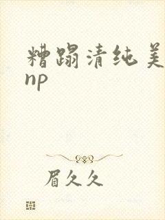 糟蹋清纯美人受np