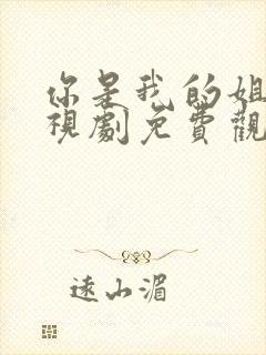 你是我的姐妹电视剧免费观看全集封面