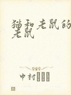 猫和老鼠的猫和老鼠