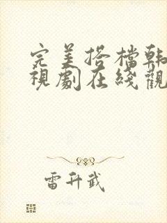 完美搭档韩剧电视剧在线观看全集高