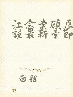 江念棠顾辰聿小说最新章节免费阅读