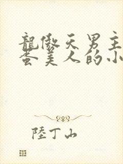 龙傲天男主的笨蛋美人的小说免费阅