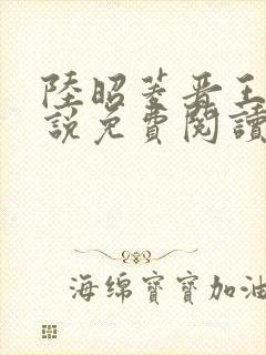 陆昭菱晋王的小说免费阅读封面