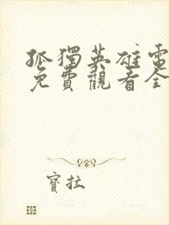 孤独英雄电视剧免费观看全集封面