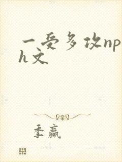 一受多攻np黄h文