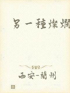 另一种灿烂生活