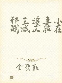 邪王追妻小说无删减正版在线阅读