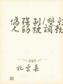 伪强制/双性美人的被调教游戏