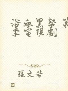 浴血黑帮 第六季电视剧