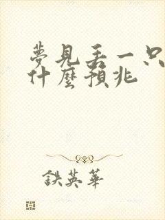 梦见丢一只袜子什么预兆