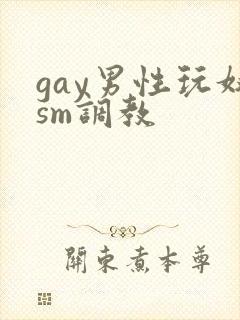 gay男性玩奴sm调教封面