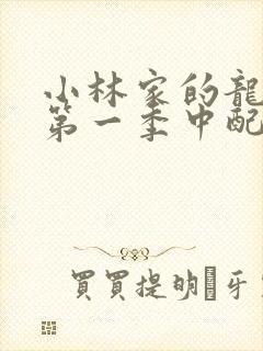 小林家的龙女仆第一季中配版