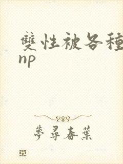 双性被各种淫玩np