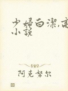 少妇白洁,高义小说封面