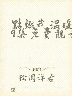 点燃我温暖你29集免费观看封面