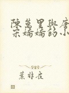 陈万里与唐嫣然宋娇娇的小说叫什么