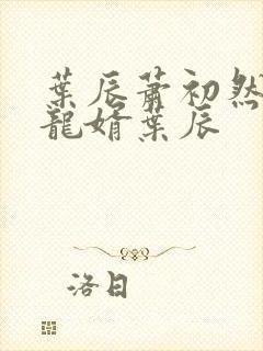 叶辰萧初然上门龙婿叶辰