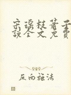 宋瑶枝萧子骞小说全文免费阅读