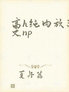 高h纯肉放荡h文np