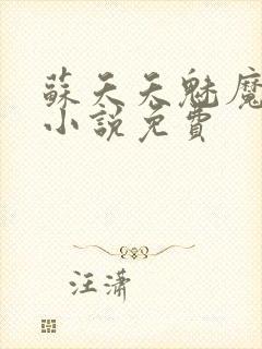 苏夭夭魅魔系统小说免费