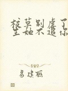 校草别虐了,重生她不追你了免费阅读全文封面