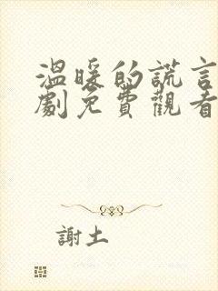 温暖的谎言电视剧免费观看全集封面