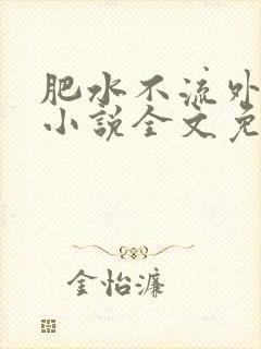 肥水不流外人田小说全文免费阅读1封面