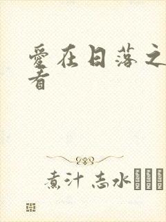 爱在日落之前收看