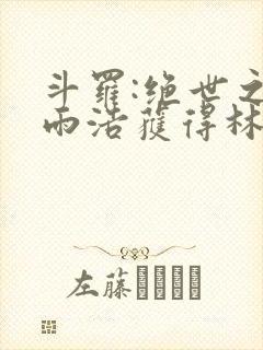 斗罗:绝世之霍雨浩获得林动传承