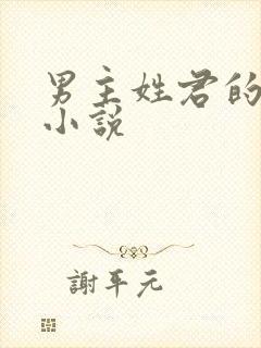 男主姓君的全部小说