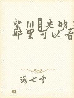 紫川·光明三杰哪里可以看完整版