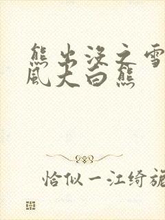 熊出没之雪岭熊风大白熊