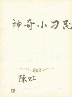神奇小刁民