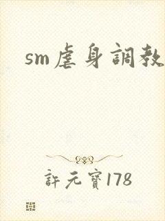 sm虐身调教文封面