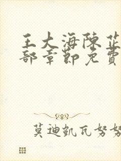 王大海陈芷晴全部章节免费阅读