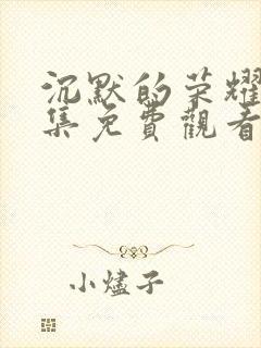 沉默的荣耀40集免费观看全集高清版下载封面