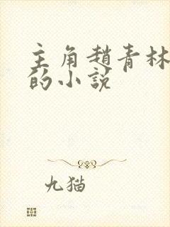 主角赵青林安澜的小说