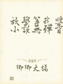 放学等我酱子贝小说无弹窗无广告封面