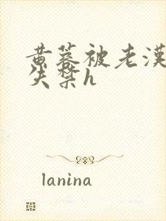 黄蓉被老汉肉到失禁h