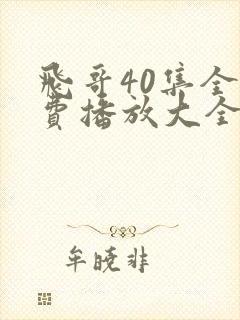 飞哥40集全免费播放大全在线观看