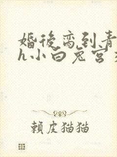 婚后脔到青梅哭h小白兔宫交h