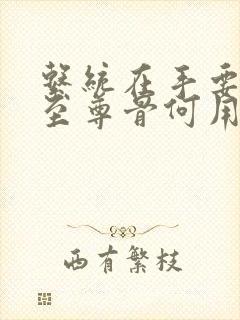 系统在手要妹妹至尊骨何用笔趣阁