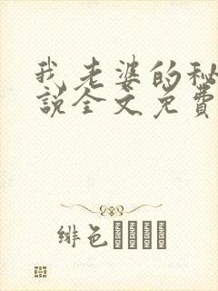 我老婆的秘密小说全文免费阅读