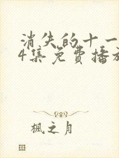 消失的十一层24集免费播放电视剧全部