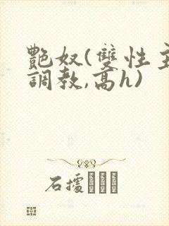 艳奴(双性主奴调教,高h)