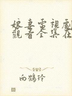 娘妻电视剧免费观看全集在线观看封面