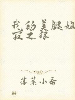 我的美腿姐姐孤寂之狼