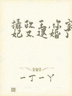 摄政王,你家王妃又退婚了